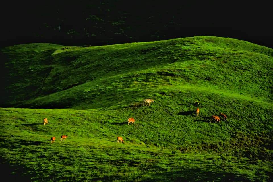 Xaysomboun Province